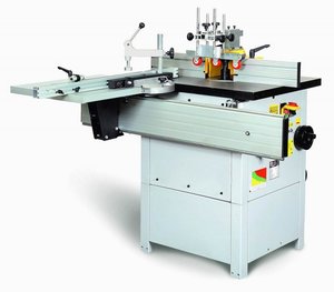 Medienos frezavimo staklės TFS-100/30
